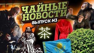 Зачем обезьяны собирают чай? Какой улун круче других? Чай-антистресс и другие ЧАЙНЫЕ НОВОСТИ#3