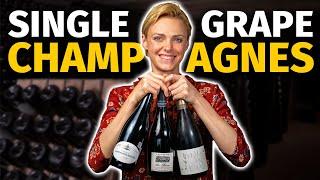 Blanc De Blancs vs Blanc De Noirs: Ultimate Single Varietal CHAMPAGNE Tasting