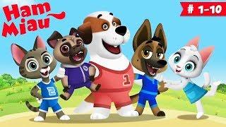 Ham Miau  ep. 1-10  Desene animate pentru copii -  HeyKids