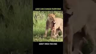 love can change everything #shorts#Aruvaa guys