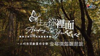 一小時【靈修音樂】全專輯連續播放 「住在祢裡面」Abiding In You 讚美之泉安靜系列 (03) Devotional Instrumental Album