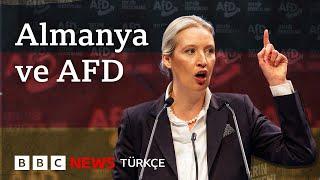 AfD: Almanya'da yükselişteki aşırı sağcı parti