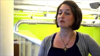Healthy Teen Network 2012-2013 Annual Report Introduction
