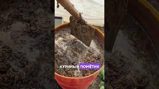 MEGA ПОДКОРМКА  #огород #идеянемоя #теплица #удобрения