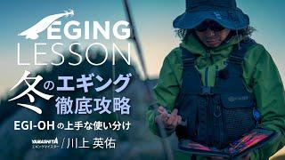 冬のエギング徹底攻略！ 冬エギングがもっと上手になるエギ王SEARCH・LIVE・Kの使い分けポイント【エギングレッスン】