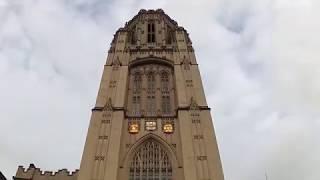 Wills Memorial Building - Bristol | All the way up to the Top | 2018 |