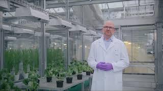 Syngenta Stein Crop Protection Research & Development Center