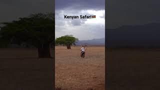 Cruising through the wild of Kenya 