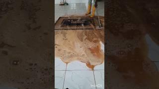 intense manual brushing rug cleaning #satisfying #cleaning #relaxing