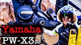 Yamaha PW-X3 Motor Test