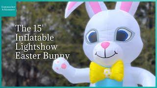 Hammacher 15' Bunny Testbericht 4K