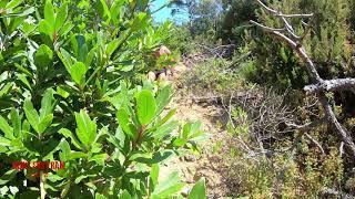 Homar Leuci hunterstrail Training outdoor