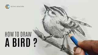 How to draw a sparrow bird with simple shading technique | Cross hatching tutorial for beginners