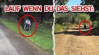 Der verstörende Kinderwagen Trick | MythenAkte