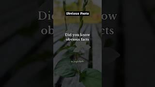 Did you know obvious facts #psychologyfacts #shorts #subscribe