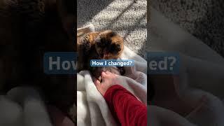 The morning habit that changed me.