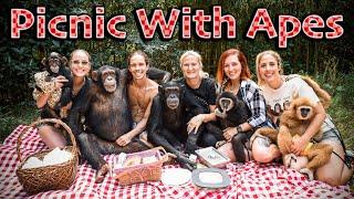 WILD FAMILY PICNIC WITH APES | Myrtle Beach Safari