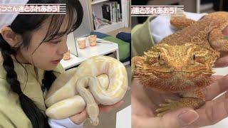 [ENG] Moepi, Haru-chan visit Animal Cafe. Moepi wants to bring home everything (Kumamama)