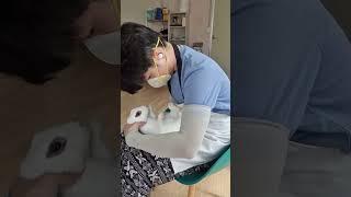 #토끼 조기 교육의 중요성^^ 천천히 안전하게‍️#드워프토끼 #토끼발톱 #토끼미용 #토끼케어 #bunnycare #bunnylover #인생건초