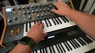 Moog Subsequent37 Summer Synth Jam - Masterjoda75