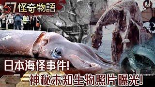 日本海怪事件！神秘未知生物照片曝光！87船員驚呆 生物學家竟稱：自行判斷【57怪奇物語】@57StrangerThings