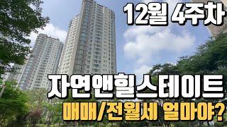 12월4주차) 자연앤힐스테이트 매매/전세/월세 가격입니다.