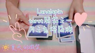 泰國LUNALAPIN Tarot 月之兔塔羅牌，開箱之一(特典卡+說明書) うさぎ · usagi ·タロット