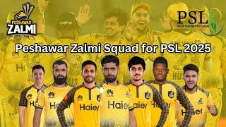 Peshawar Zalmi Squad for PSL 2025