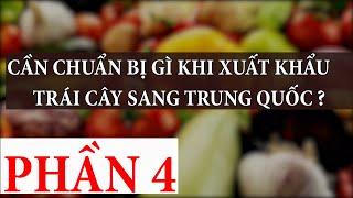 Cần Chuẩn Bị Gì Khi Xuất Khẩu Trái Cây Sang Trung Quốc [Phần 4]