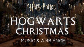 Hogwarts Christmas | Harry Potter Hogwarts Legacy Music and Ambience