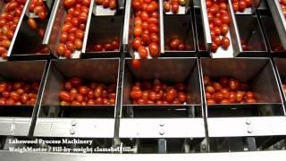 WeighMaster Fill-by-weight Clamshell Filler (Tomatoes)