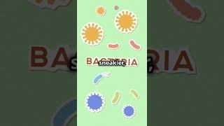 GRAM POSITIVE V/S GRAM NEGATIVE BACTERIA #biology #biologynotes #education #rpsc2nd