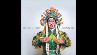 Stephin Merritt - What A Fucking Lovely Day