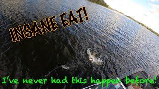 WEIRDEST way to catch a fall MUSKY! -- Incredible Strike! Rideau River Musky Fishing Ontario