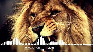 ДикаяNew lion song 2022.Дикая ЛьвицаArtist- ALEX @ RUS.New song | Remix (Slowed Reverb) tiktok Hit