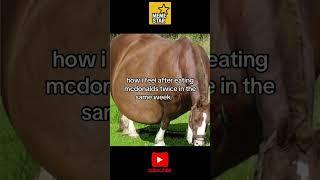 MemeStar #funny #butifyoucloseyoureyes #memes