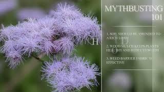 Garden Mythbusting 101 -- Part 1