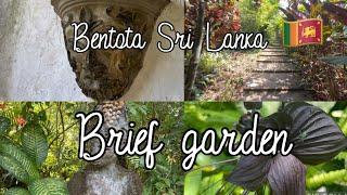 We have visited a very beautiful garden on the jungle near Bentota