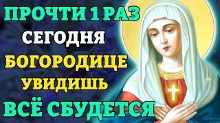 Сегодня ПРОЧТИ 1 РАЗ! ВСЁ СБУДЕТСЯ! Молитва Богородице Умиление Серафимо-Дивеевская. Православие