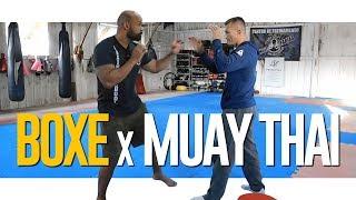 BOXE VS. MUAY THAI |  #BOXE | (Aula de Boxe e Muay Thai!)