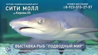 Новокузнецк