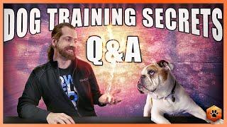 Secrets to Training the Perfect Dog Q&A with Ian Stone