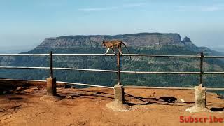 Matheran View Point Smile Trader