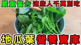 地瓜葉的營養價值，地瓜葉的功效，地瓜葉的副作用，地瓜葉的食用禁忌，什麼人不能吃地瓜葉？