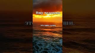 Диоген О разочаровании в людях. #Диоген #философия #размышление #будьсобой #самоценность