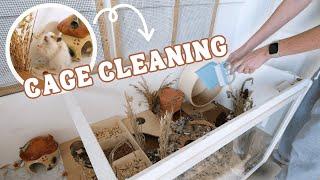 Cleaning ALL my Hamster cages! 