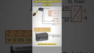 PNP Sensor to PLC Wiring #howto #sensor #wiring #connection