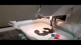 Bernina Deco650 Embroidery Machine Brother Ped Basic transfer box w/Memory card. Part 2/2 (Applique)