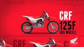 CRF FAMILY 2015 - 15 SEC