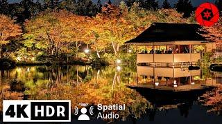 Tokyo's Best Autumn Illumination Night Walk 2023 - 4K HDR  Spatial Audio